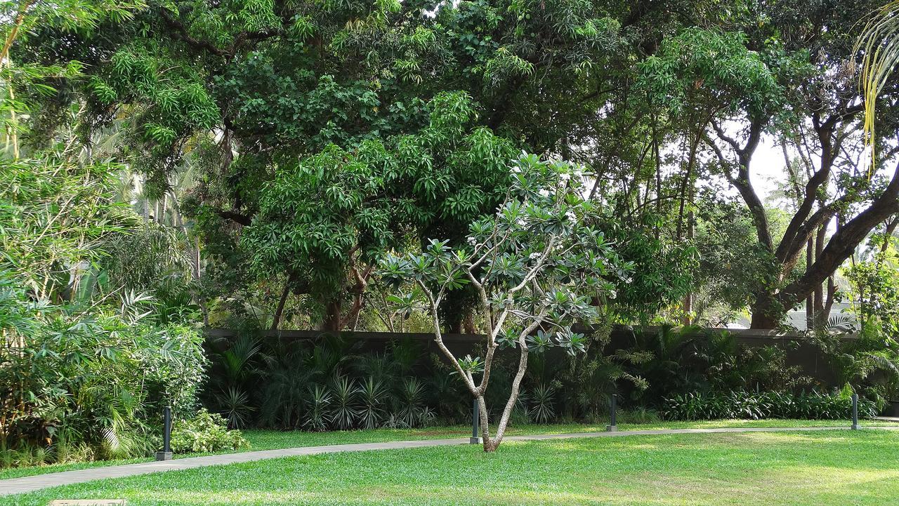 Andores Resort And Spa - Calangute Zewnętrze zdjęcie